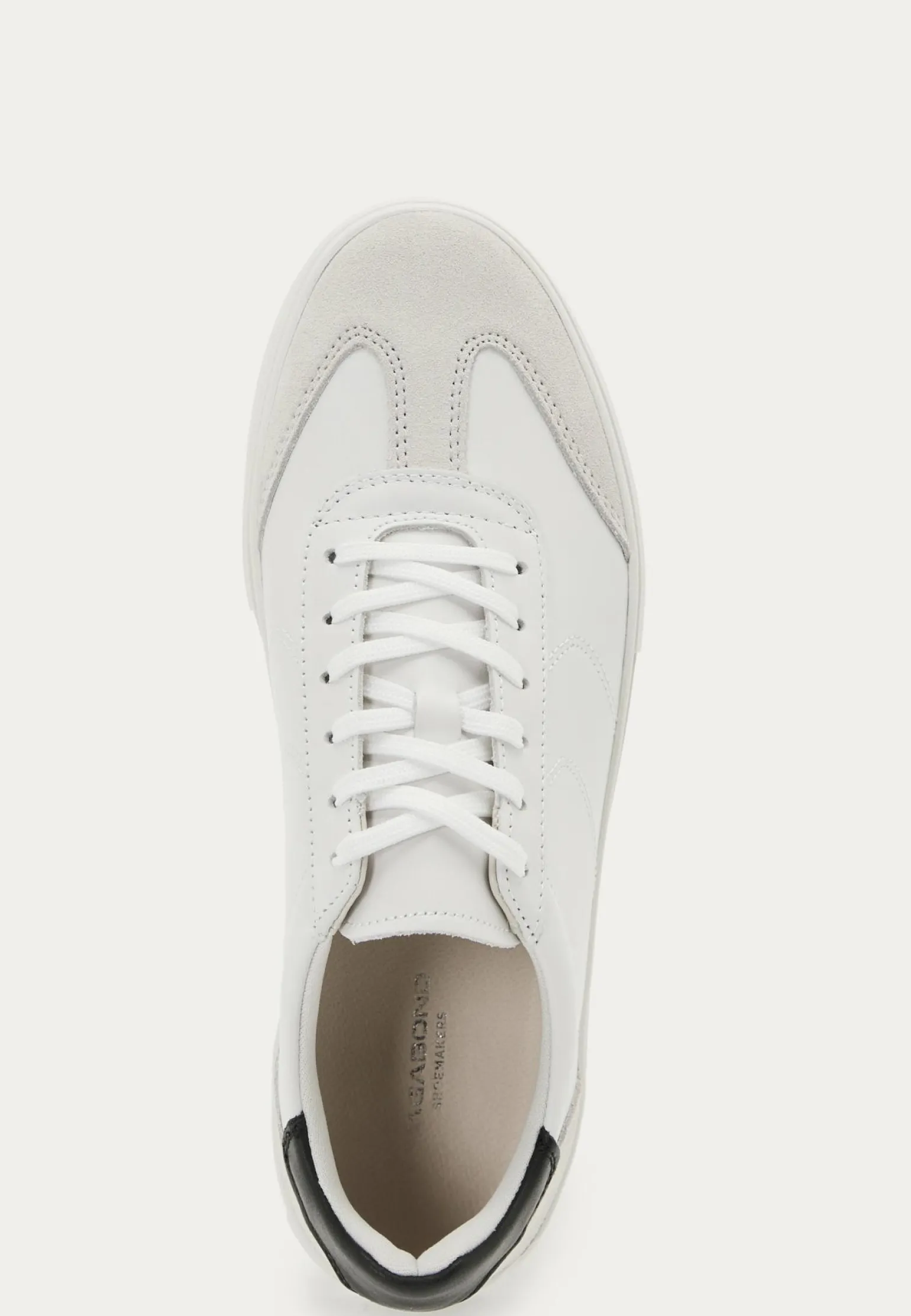 Cody Sneakers