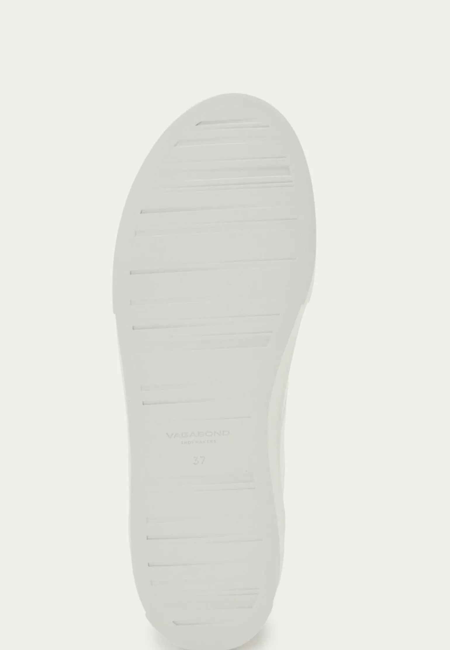 Cody Sneakers