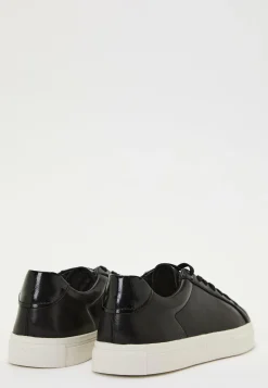 Cody Sneakers